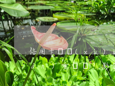 信用卡連續(xù)逾期六期的后果嚴(yán)重嗎？影響及解決辦法解析